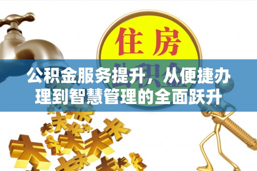 八德公积金服务提升，从便捷办理到智慧管理的全面跃升
