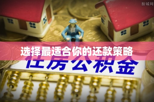八德选择最适合你的还款策略